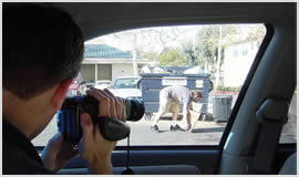 Private Detective and Investigators in Fareham